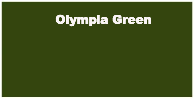 Versafine Inkpad Olympia Green